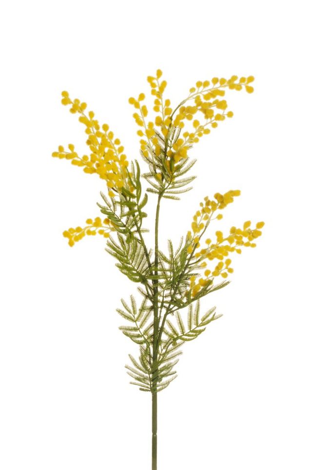 Feuillazur Rungis Branche de mimosa fleur artificielle verte 85,5 cm
