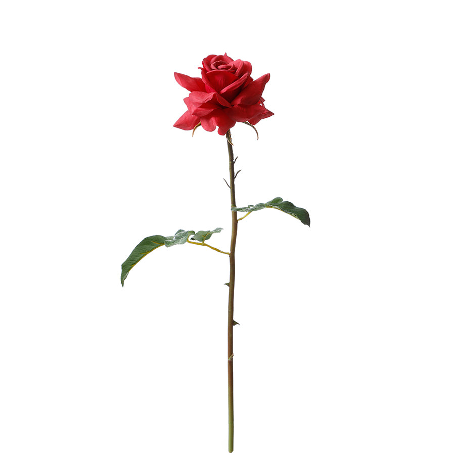Sia Home Tiges de Fleurs artificielles Rose Dutchess 50 cm rouge