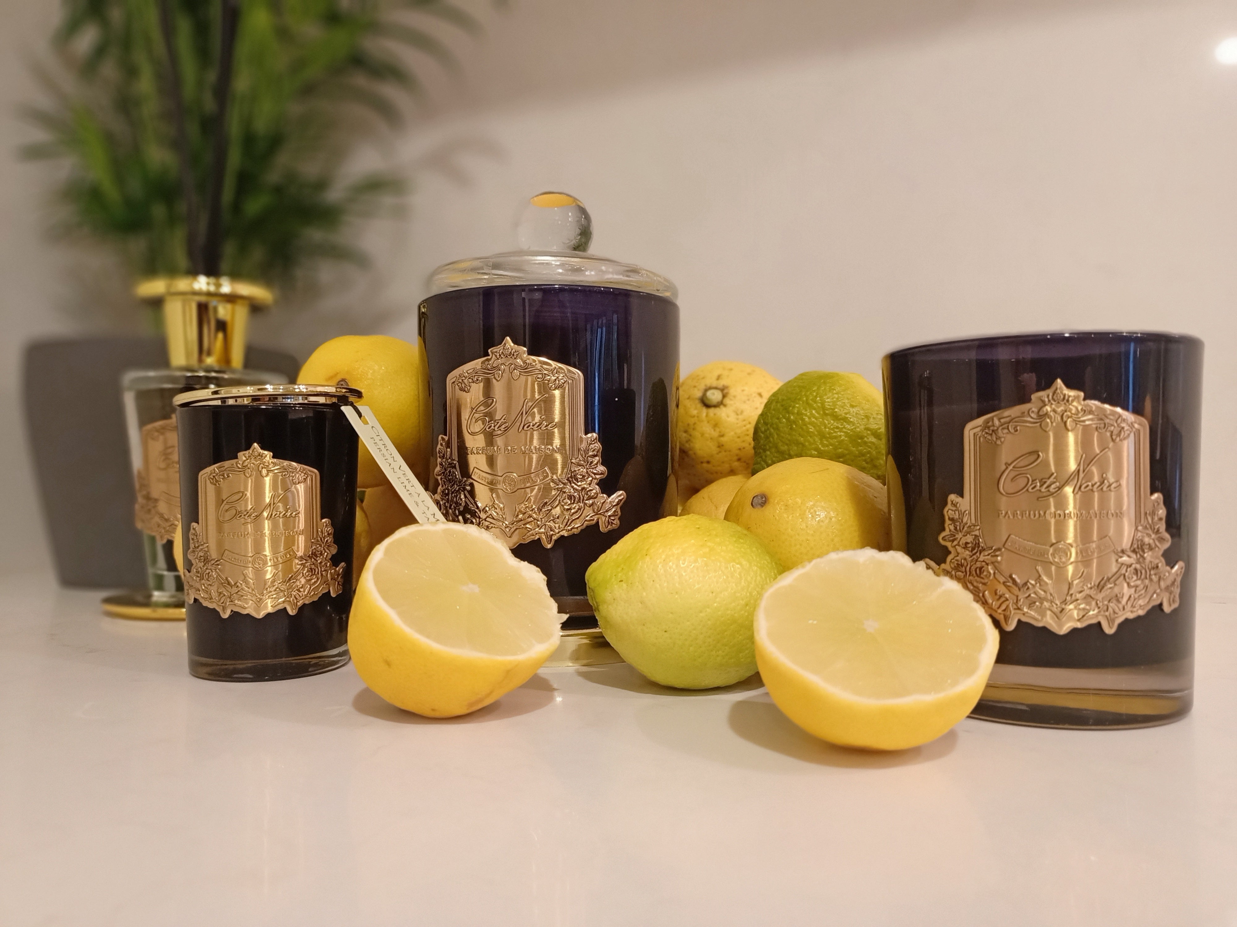 Côte Noire Soy Blend Candle bougie persian lime 450g doré