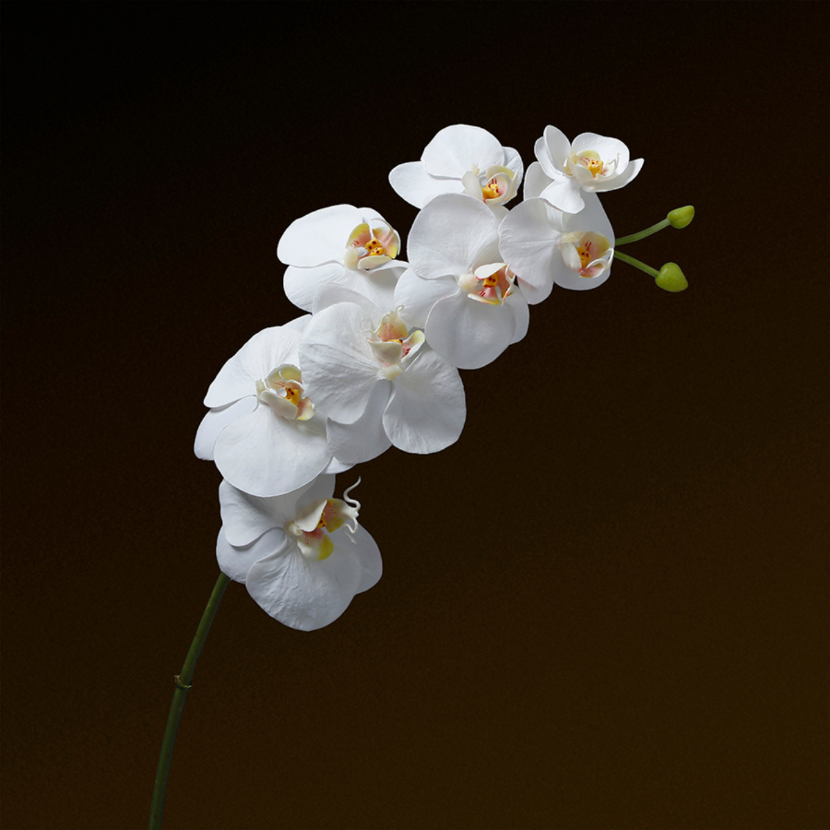 Sia Home Orchidée tige artificielle blanche 72 cm