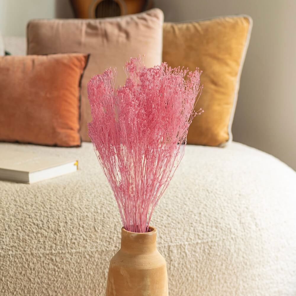 Flowrette Broom Bloom rose clair botte fleurs séchées x1