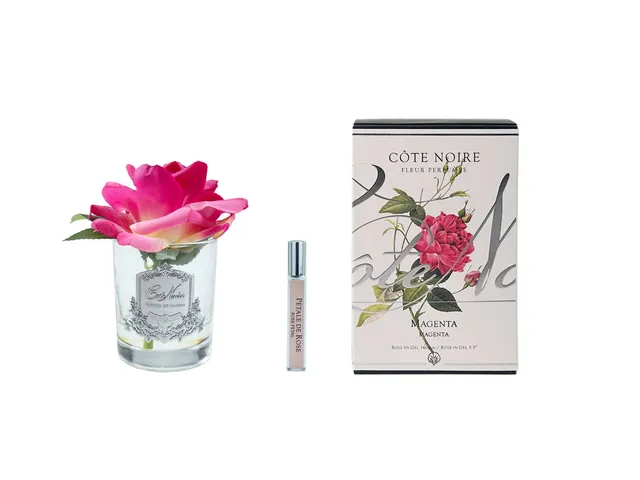 Côte Noire Perfumed Flowers rose magenta vase transparent GMR07