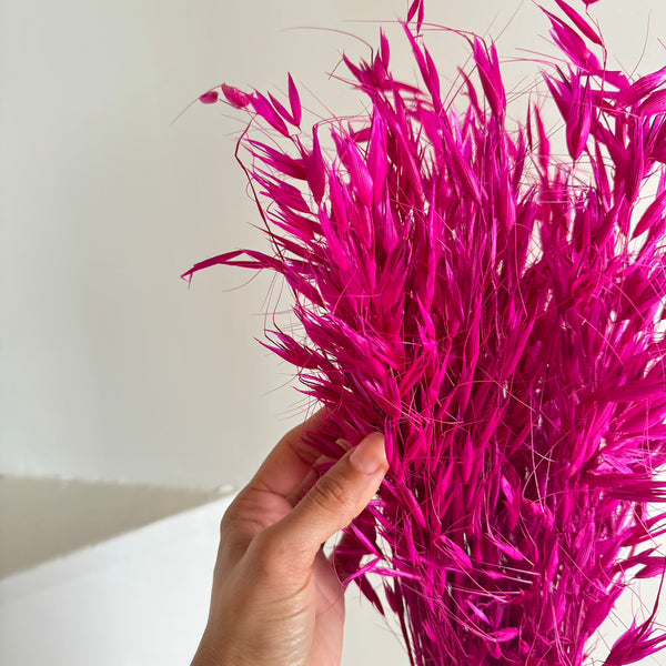 Flowrette Fleurs séchées botte avoine magenta