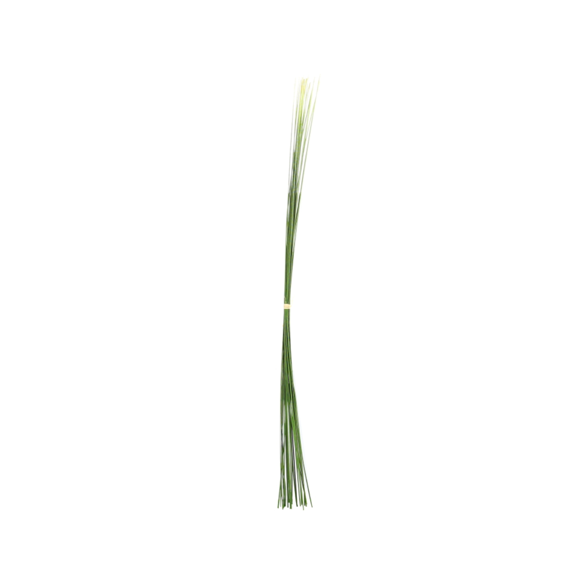 Sia Home Touffe d'Herbes feuillage 58 cm vert