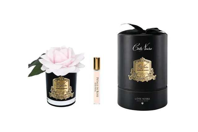 Côte Noire Perfumed Flowers RMRB06 fleur rose rose vase noir