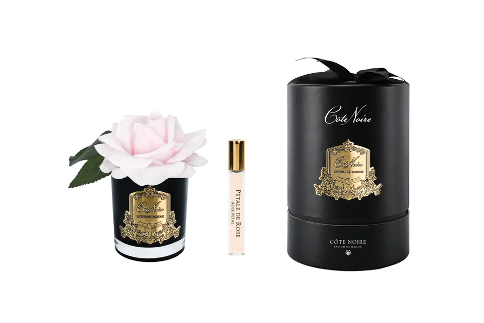 Côte Noire Perfumed Flowers RMRB06 fleur rose rose vase noir