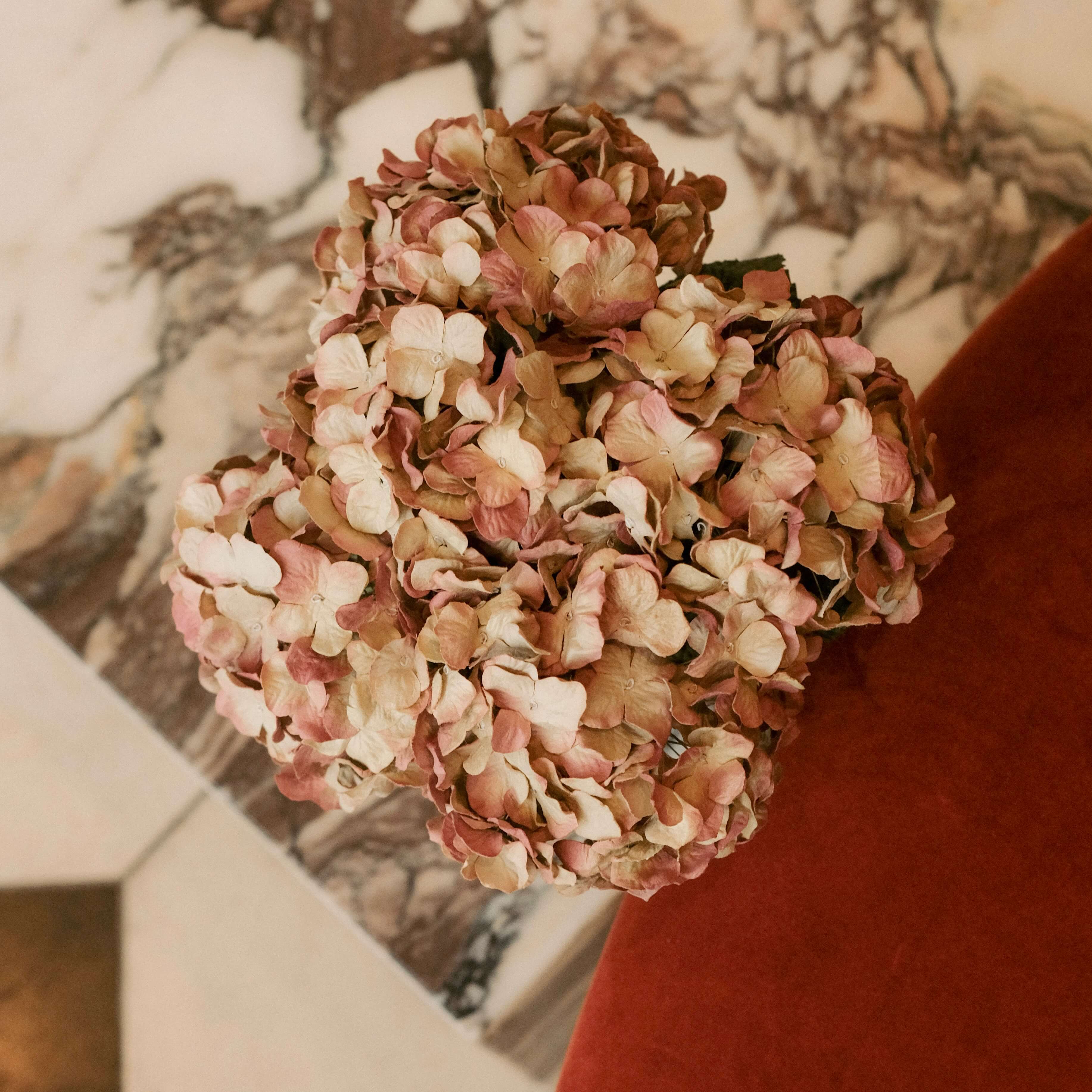 Flowrette Fleurs en papier Hortensia vieux rose x1