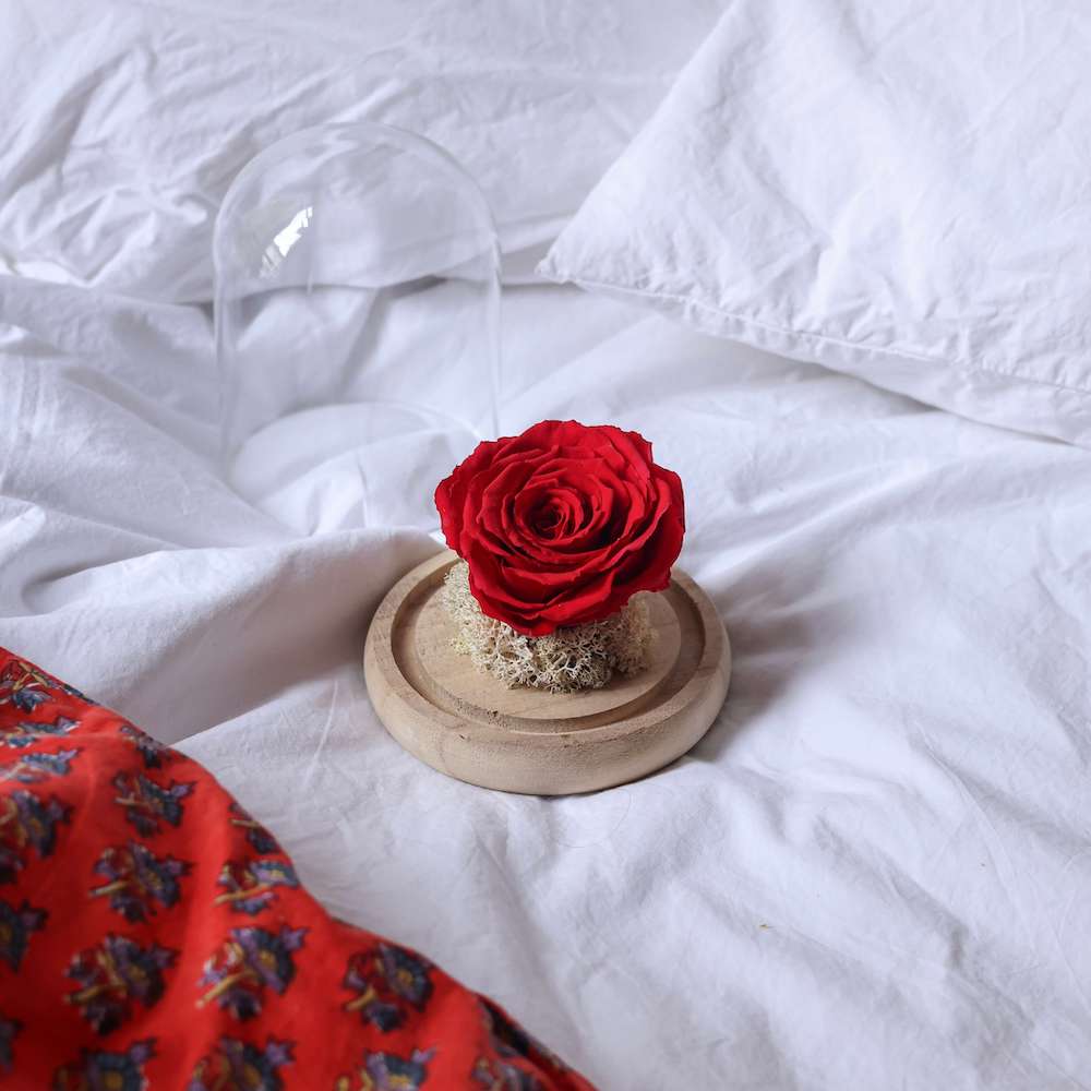 Flowrette Cloche Amour rose éternelle rouge sous verre