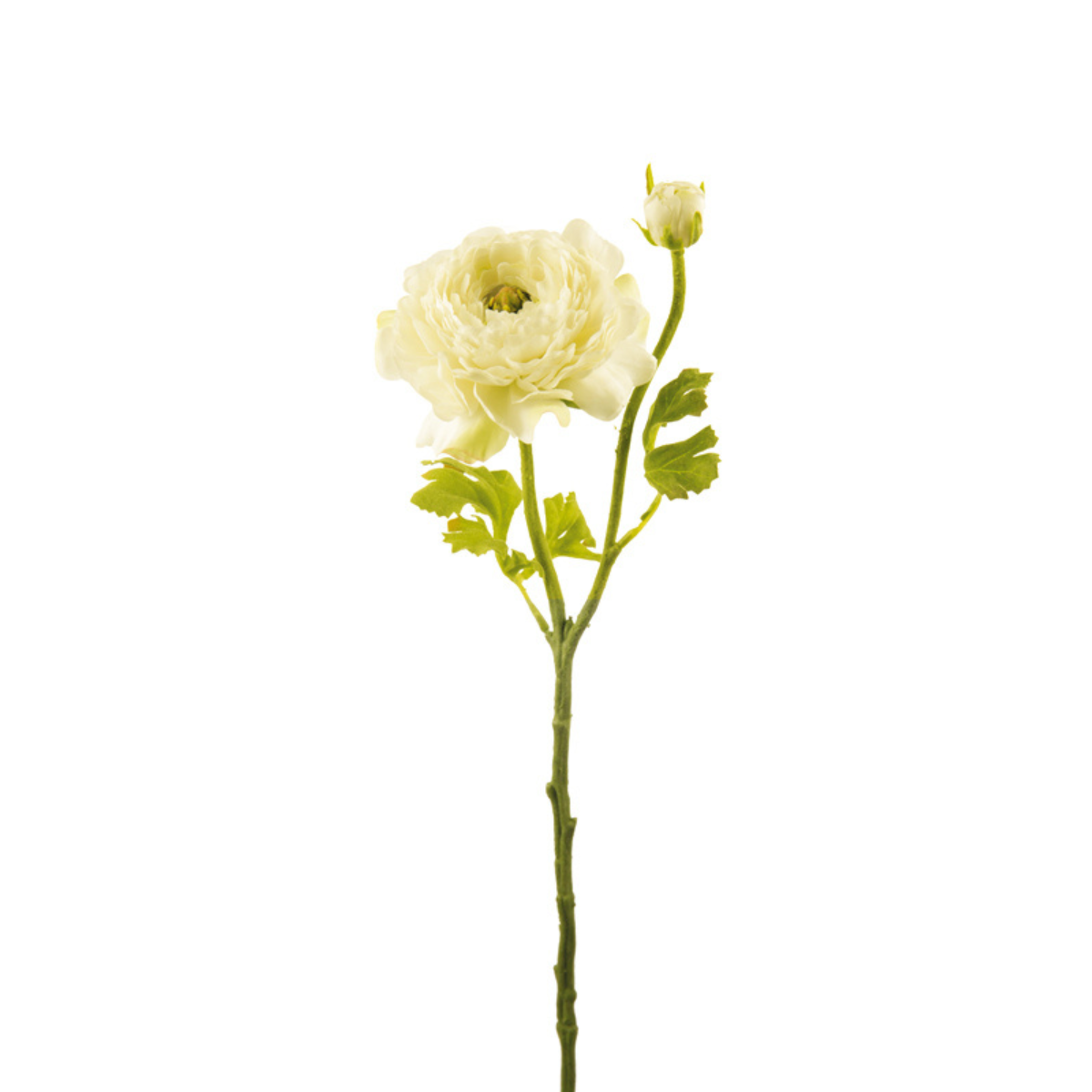 Sia Home Renoncule Nora tige artificielle rose pâle