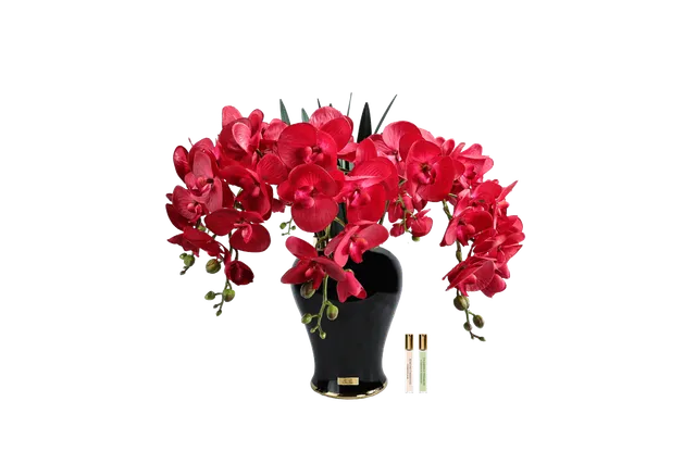 Côte Noire Imperial IMPO14 orchidée rouge écarlate