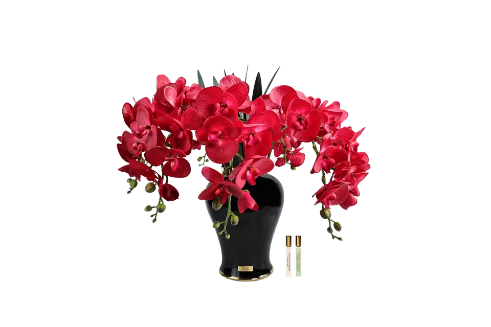 Côte Noire Imperial IMPO14 orchidée rouge écarlate