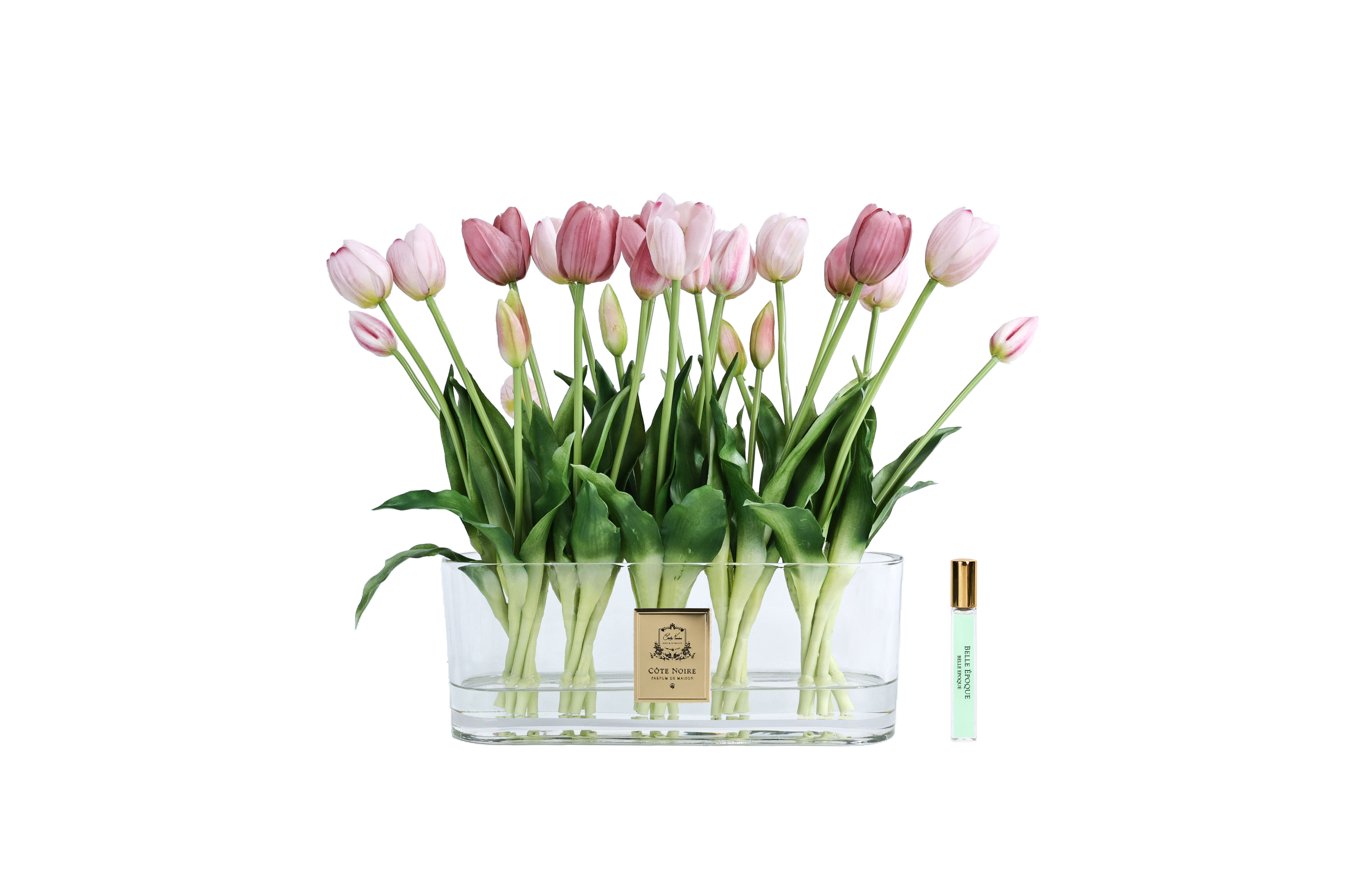 Côte Noire Perfumed Flowers OT02 bouquet tulipes roses vase ovale