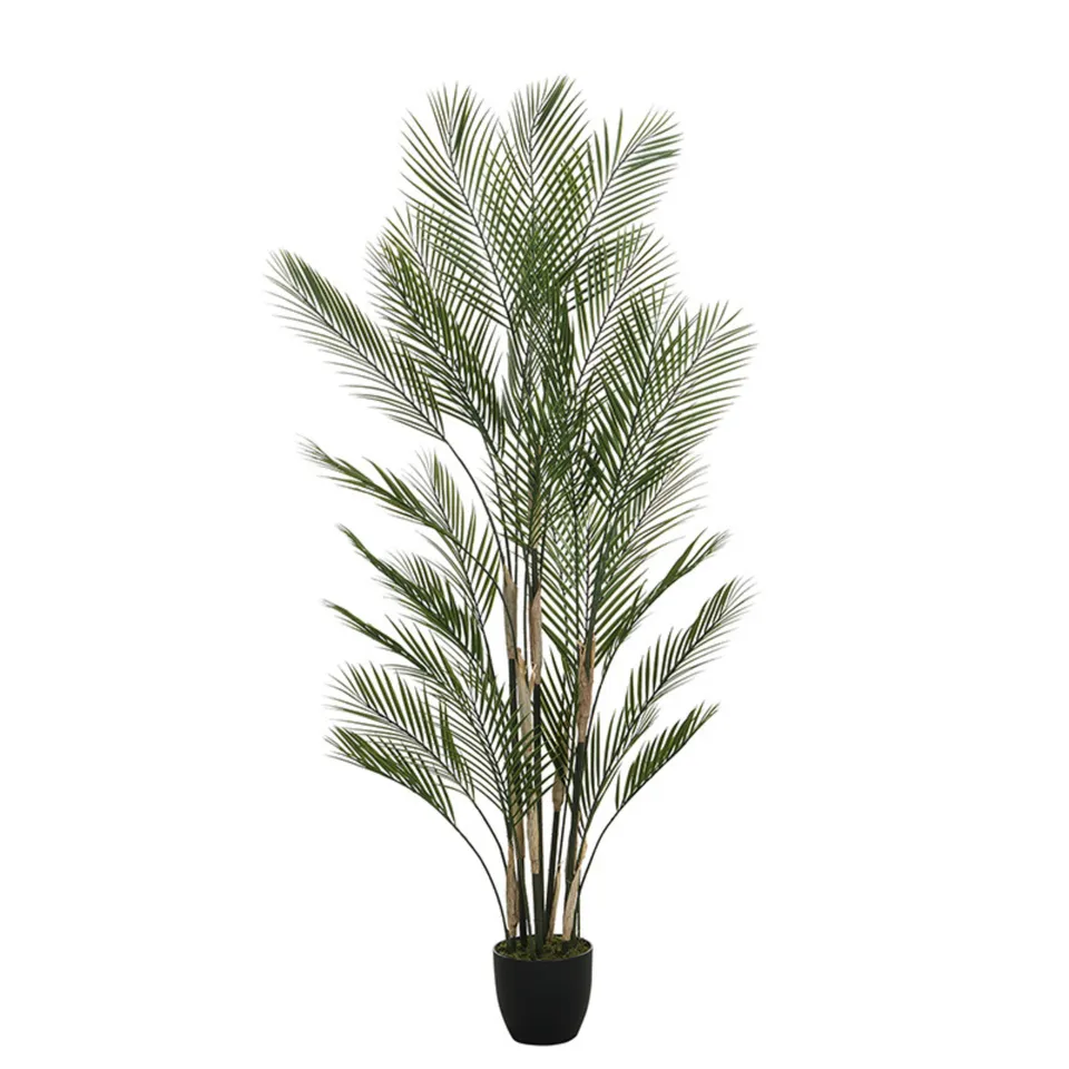 Sia Home Palmier Kwai arbre artificiel vert 180 cm