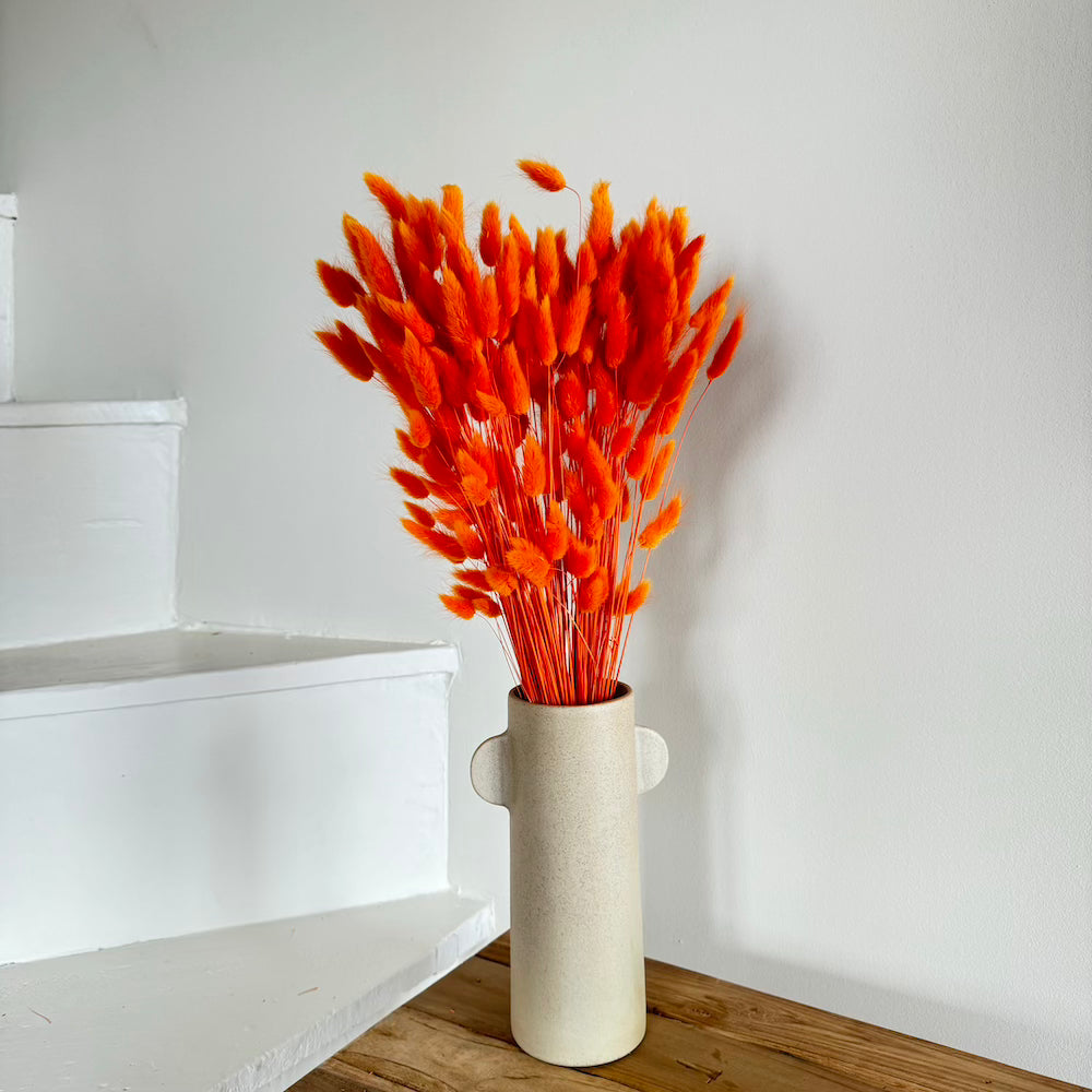 Flowrette Lagurus Orange Foncé fleur séchée botte x1