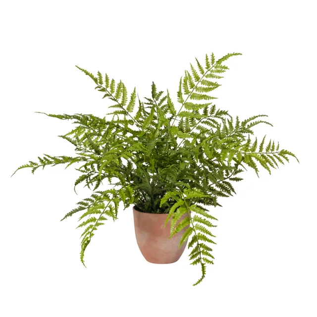 Feuillazur Rungis Fern Plante artificielle verte 55x55x58 cm