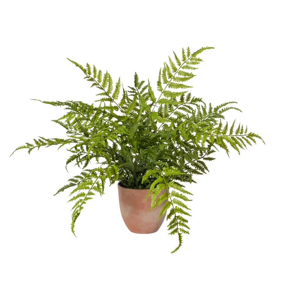 Feuillazur Rungis Fern Plante artificielle verte 55x55x58 cm
