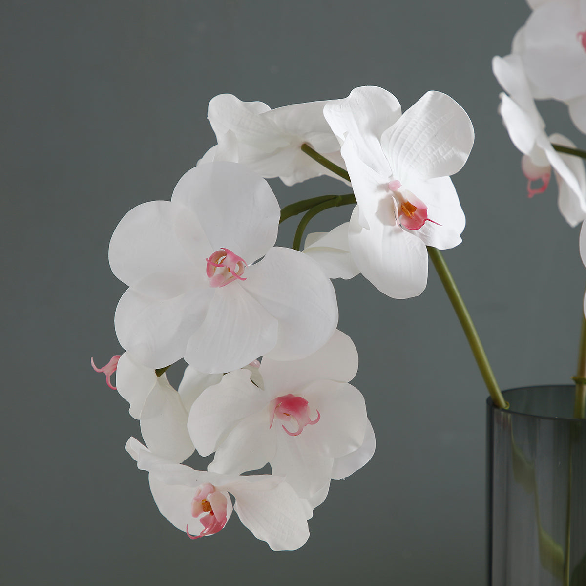 Sia Home Tige Orchidée Bandailan 60 cm blanc rose fleur