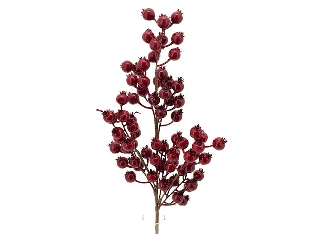Feuillazur Rungis Produits de saison Branche de groseille rouge 30cm