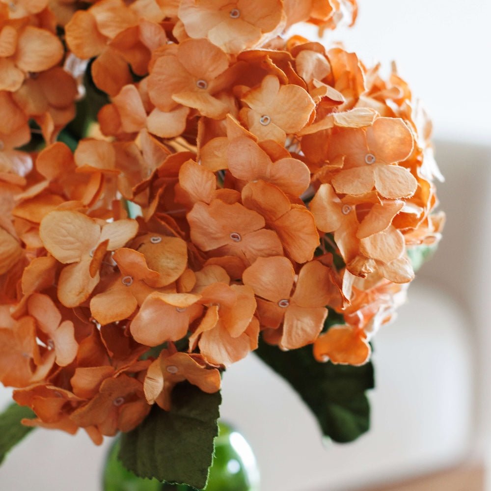 Flowrette Fleurs en papier Hortensia orange clair x1 éternel