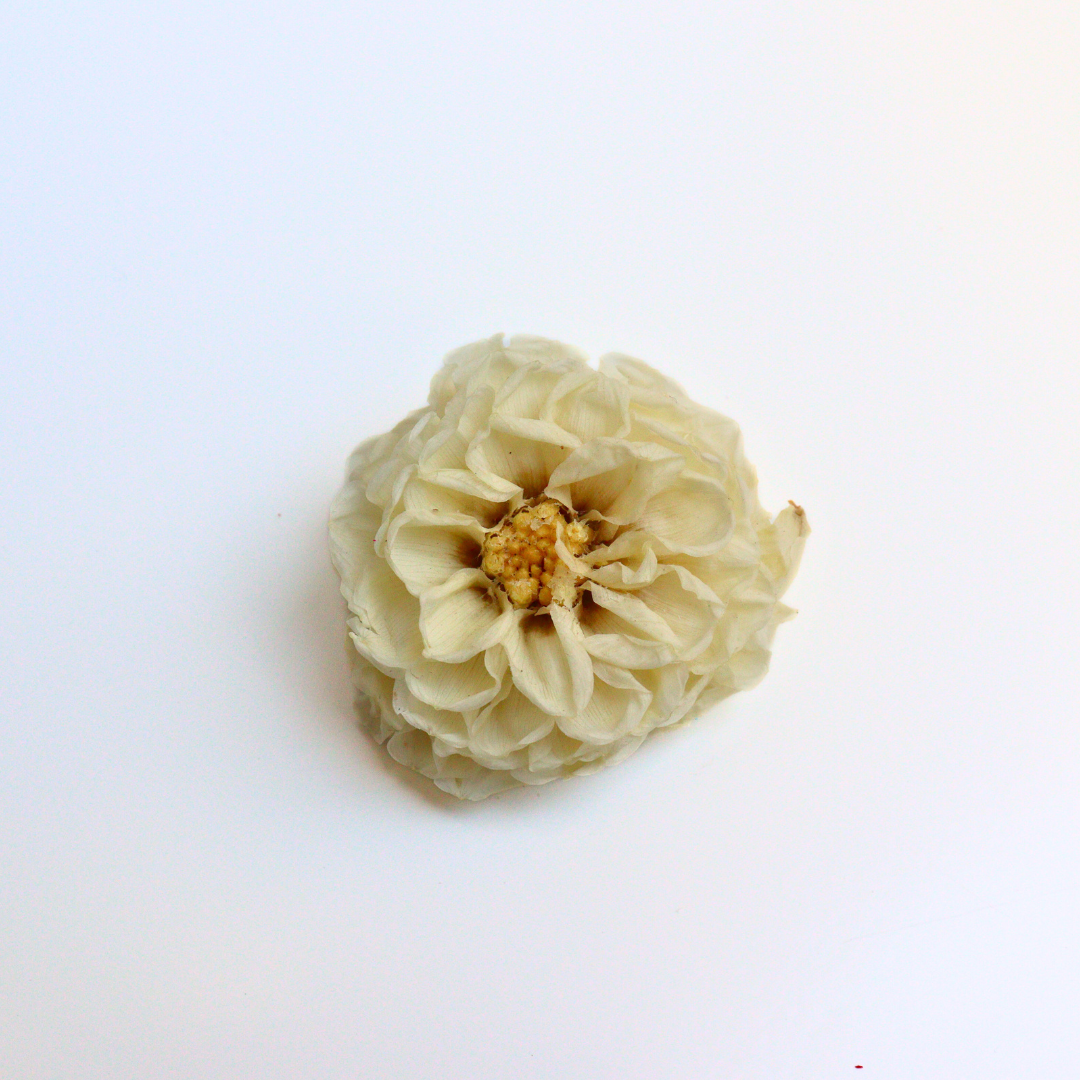 Ateliers Ouchamp Place de Breteuil barrette fuchsia dahlia 5 cm