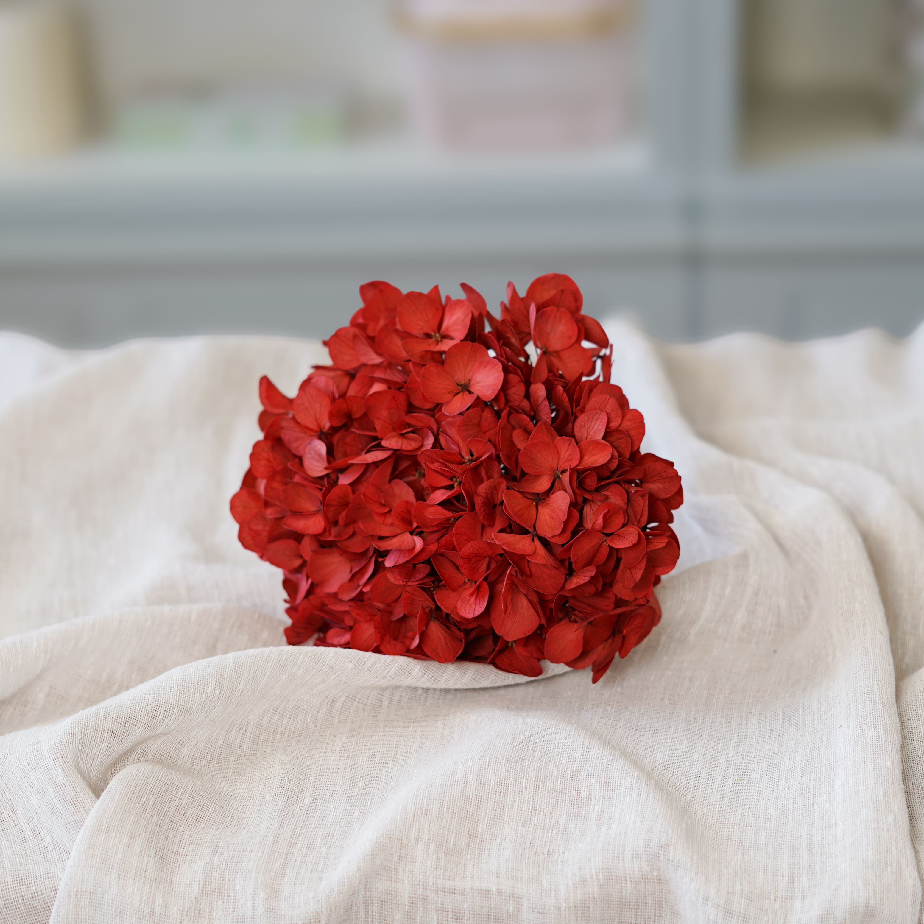 Flowrette Hortensia Rouge Fleur Stabilisée x1 Volume