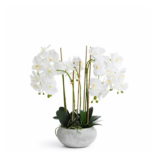 Sia Home Séréna Orchidée Composition Blanche 65 cm