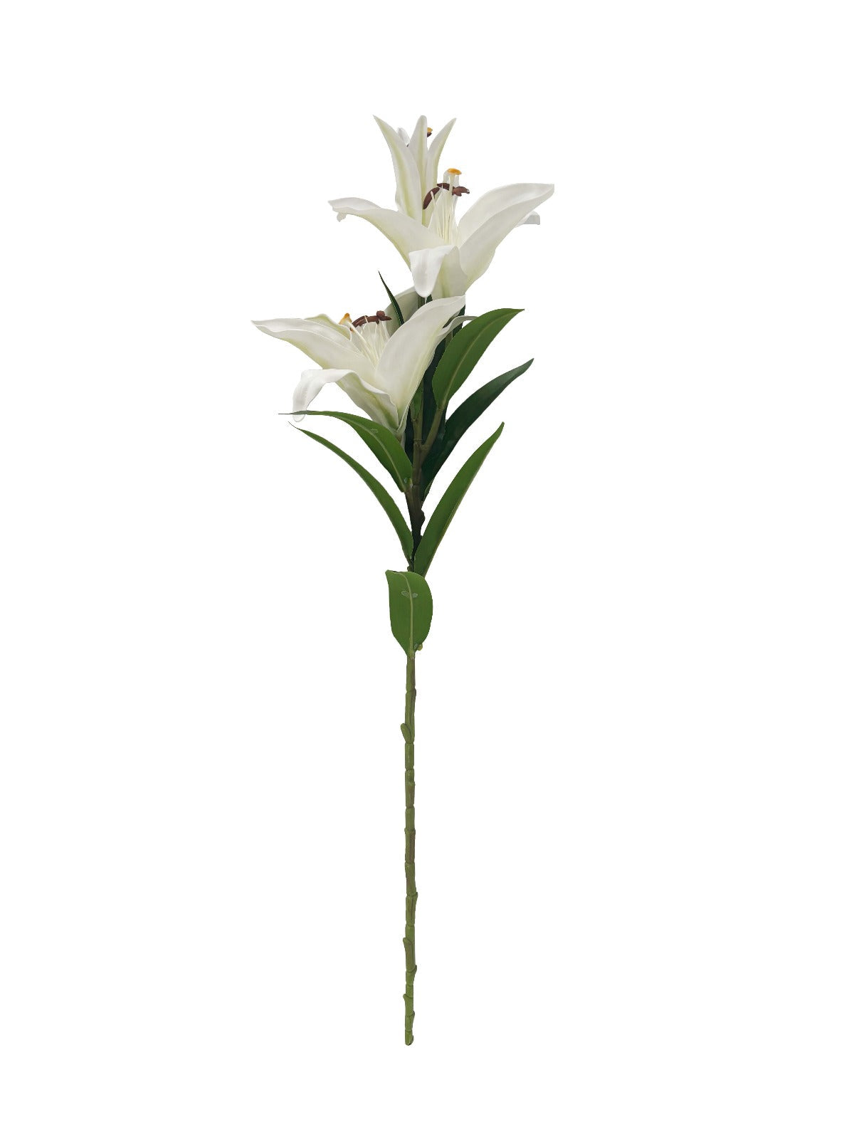 Côte Noire Perfumed Flowers LOL01 tige de lys 90 cm blanc