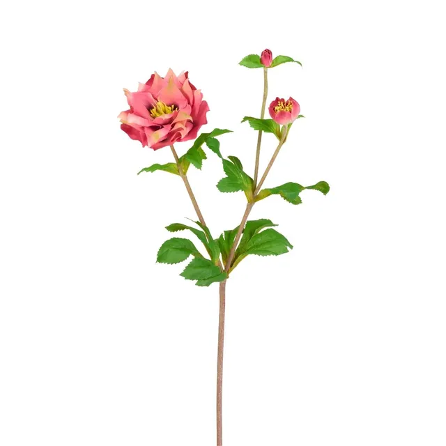 Sia Home Helleborus Niger tige fleur rose 49 cm