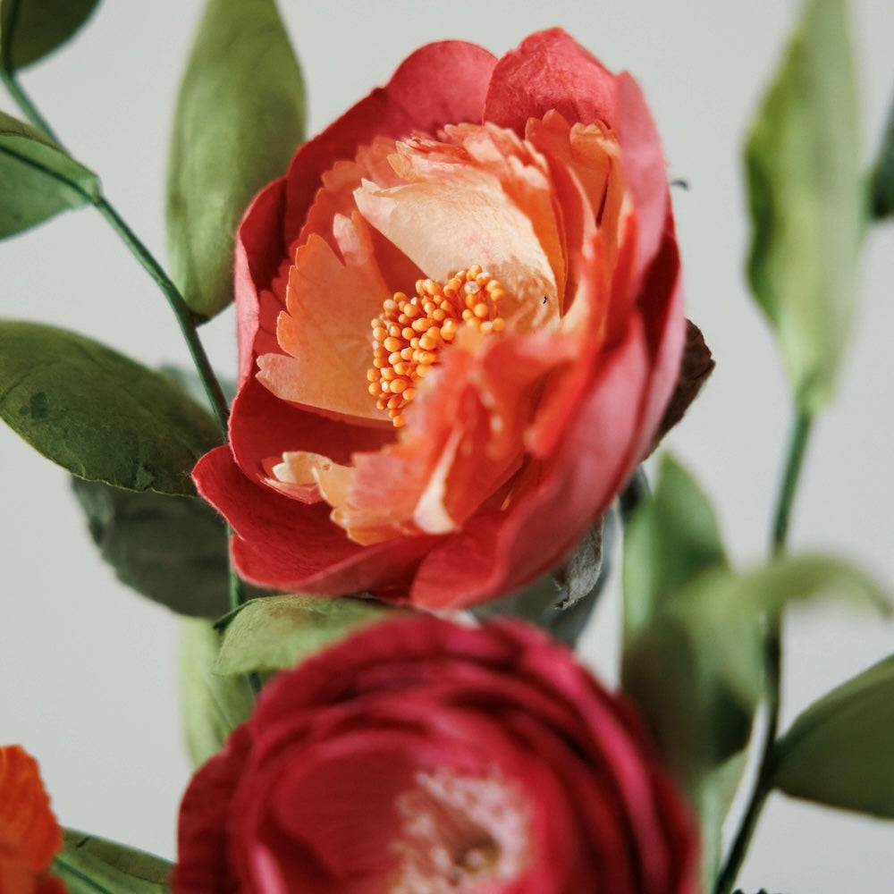 Flowrette Kandinsky bouquet fleurs en papier orange fuchsia