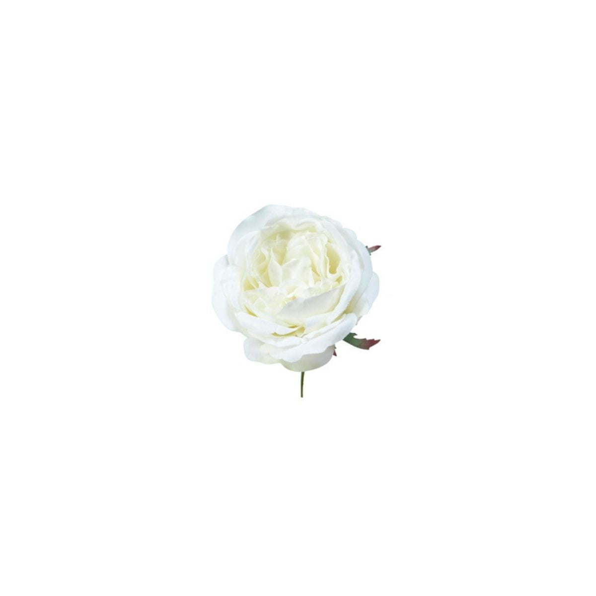 Sia Home Tige Rose à piquer 18cm fleur artificielle blanc