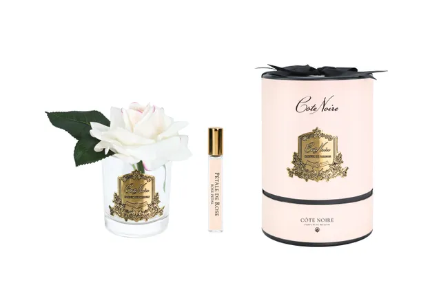Côte Noire Perfumed Flowers French Rose rose blush vase verre