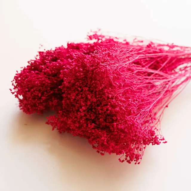 Flowrette Broom Bloom botte fleurs séchées magenta x1