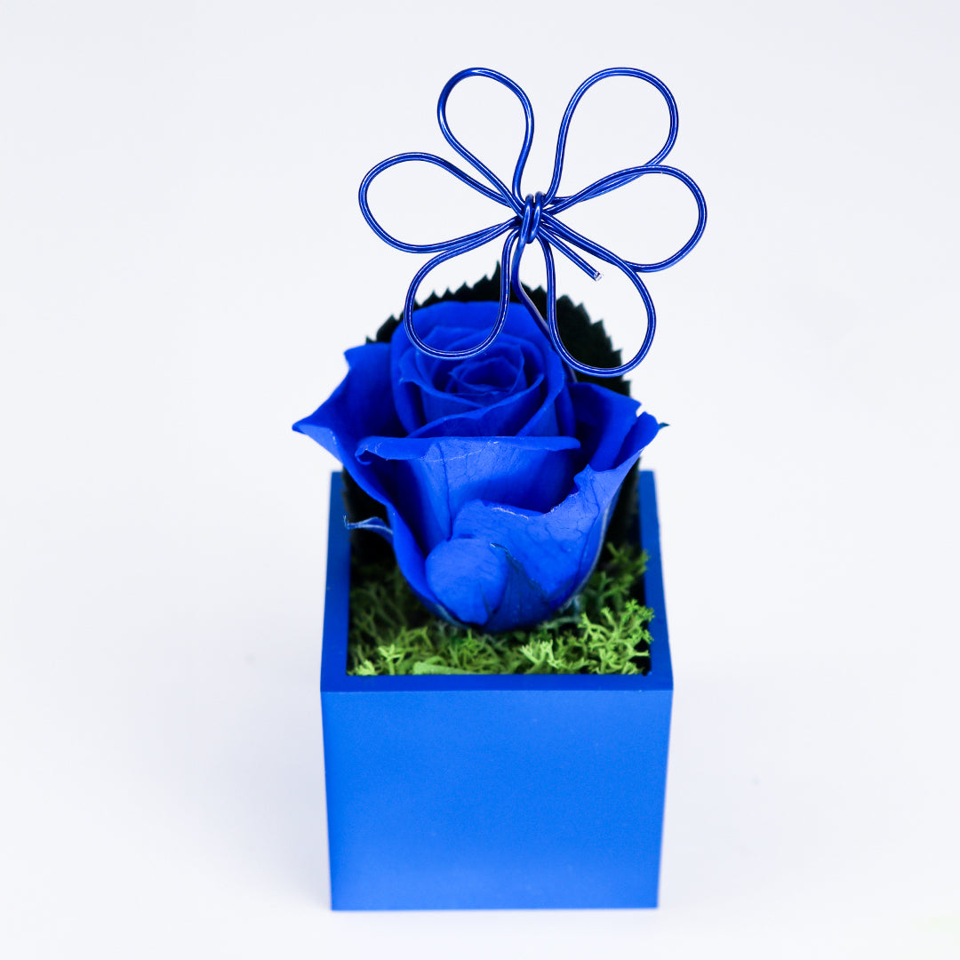 Ateliers Ouchamp Roses rose stabilisée aimant bleu