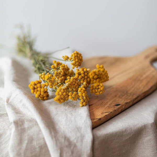 Flowrette botte lona jaune fleurs séchées