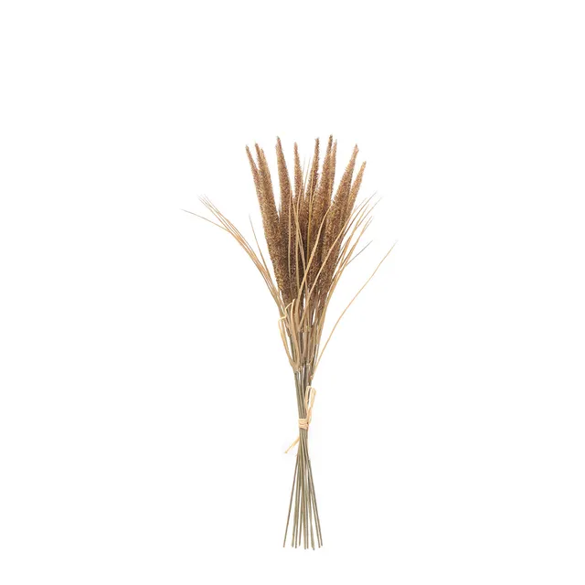 Sia Home Bouquet de Pampa 12 tiges 50 cm bouquet marron
