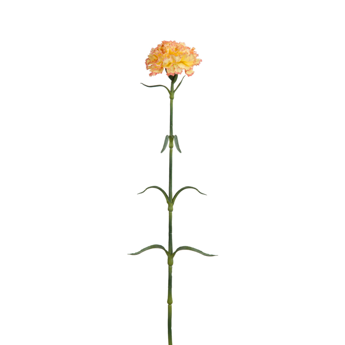 Sia Home Tiges tige d'œillet crème 55 cm artificielle