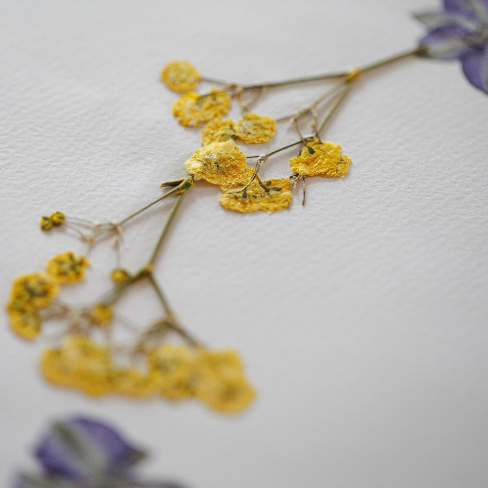Flowrette Herbier Ronde Printanière A3 fleurs séchées