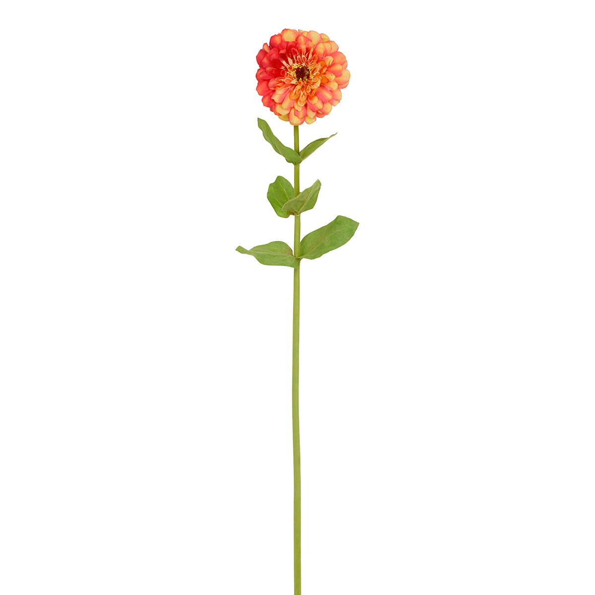 Sia Home Tiges Zinnia tige fleur artificielle orange 68 cm