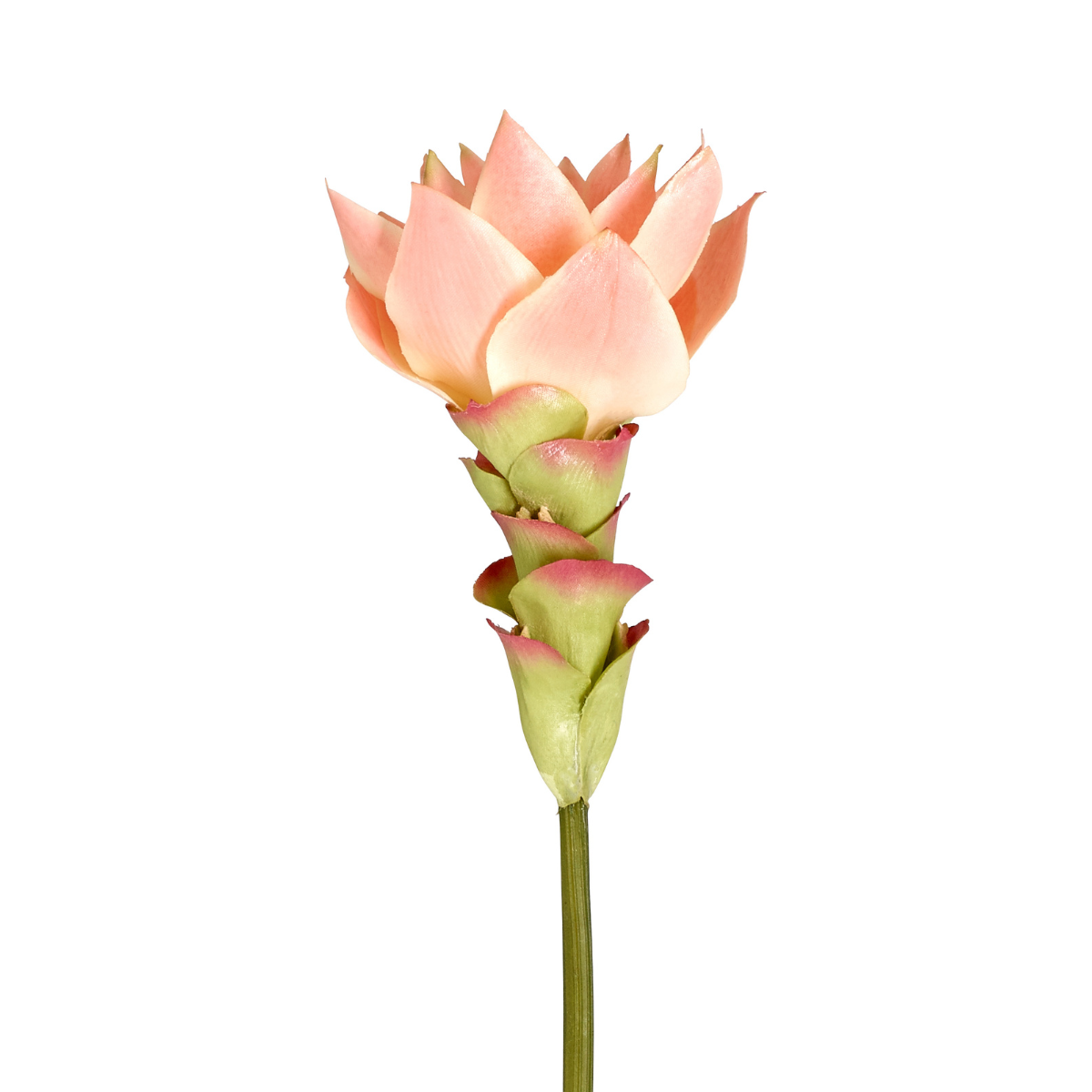 Sia Home Tige Gingembre Miami rose fleur 48 cm