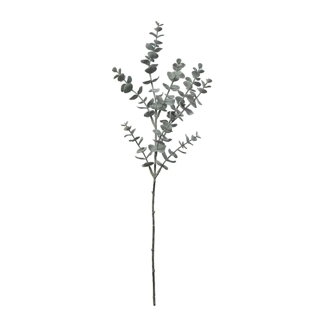 Sia Home Feuillages Eucalyptus 53cm tige verte
