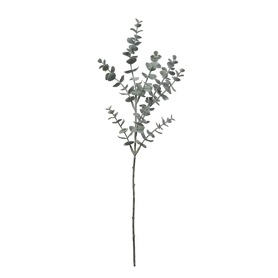 Sia Home Feuillages Eucalyptus 53cm tige verte