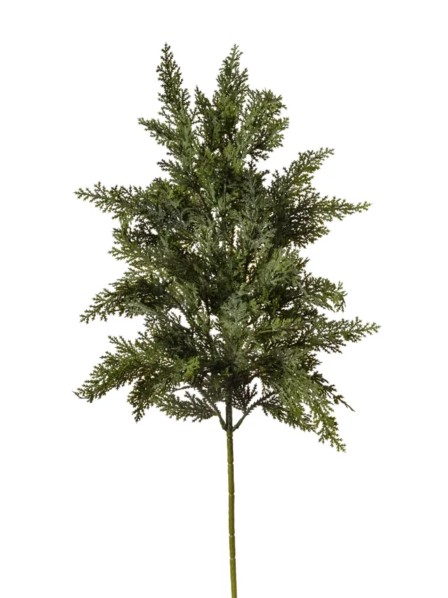 Feuillazur Rungis Produits de saison branche cyprès 093 vert 70cm