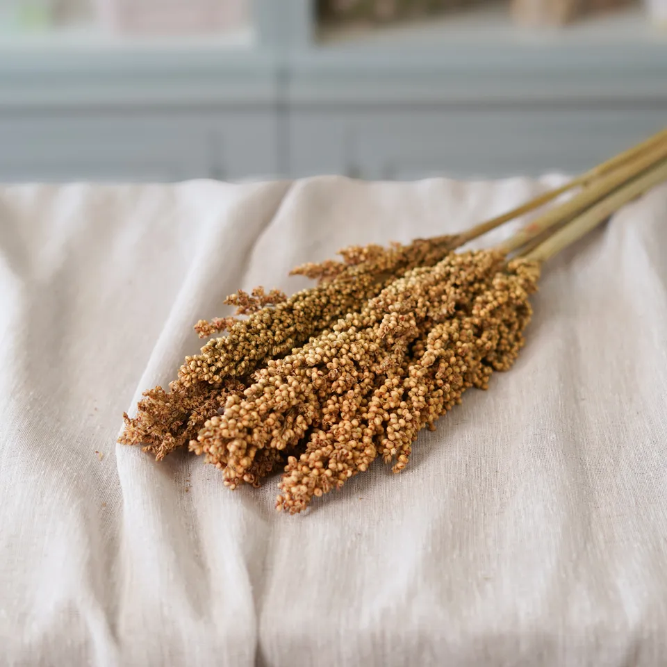 Flowrette sorghum botte fleurs séchées brun x1