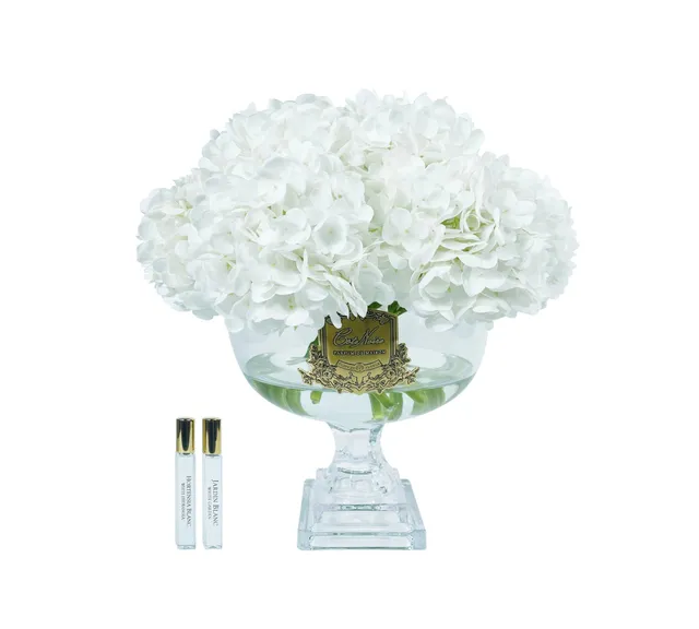 Côte Noire Hydrangeas Provence bouquet hortensia blanc fleur parfumée large