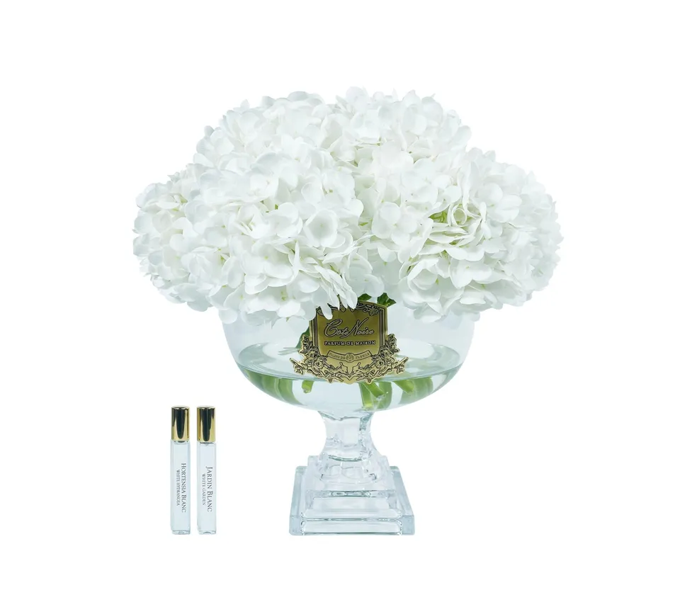 Côte Noire Hydrangeas Provence bouquet hortensia blanc fleur parfumée large