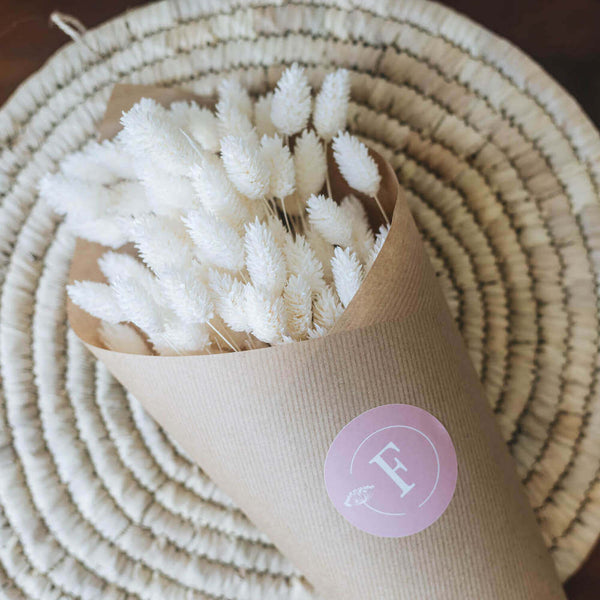 Flowrette Phalaris Botte Fleurs Séchées Blanche DIY