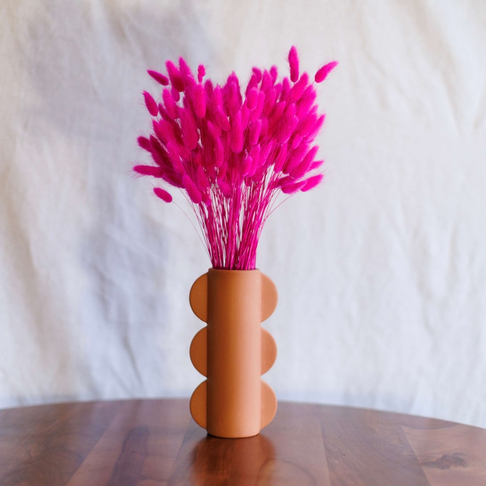 Flowrette Lagurus botte séchée fuchsia x1
