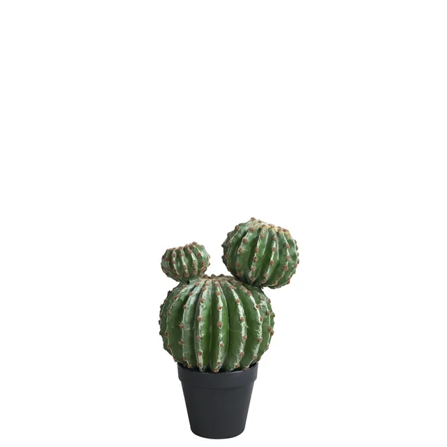 Sia Home Cactus Rond Pot 32 cm Vert Sans Entretien