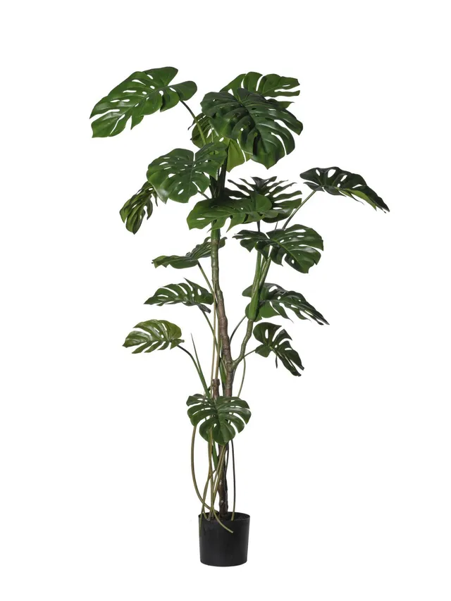 Feuillazur Rungis Monstera plante artificielle vert 180cm réaliste