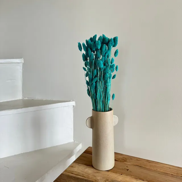 Flowrette Fleurs séchées botte phalaris turquoise x1 rustique